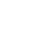 TheBloom_160x160